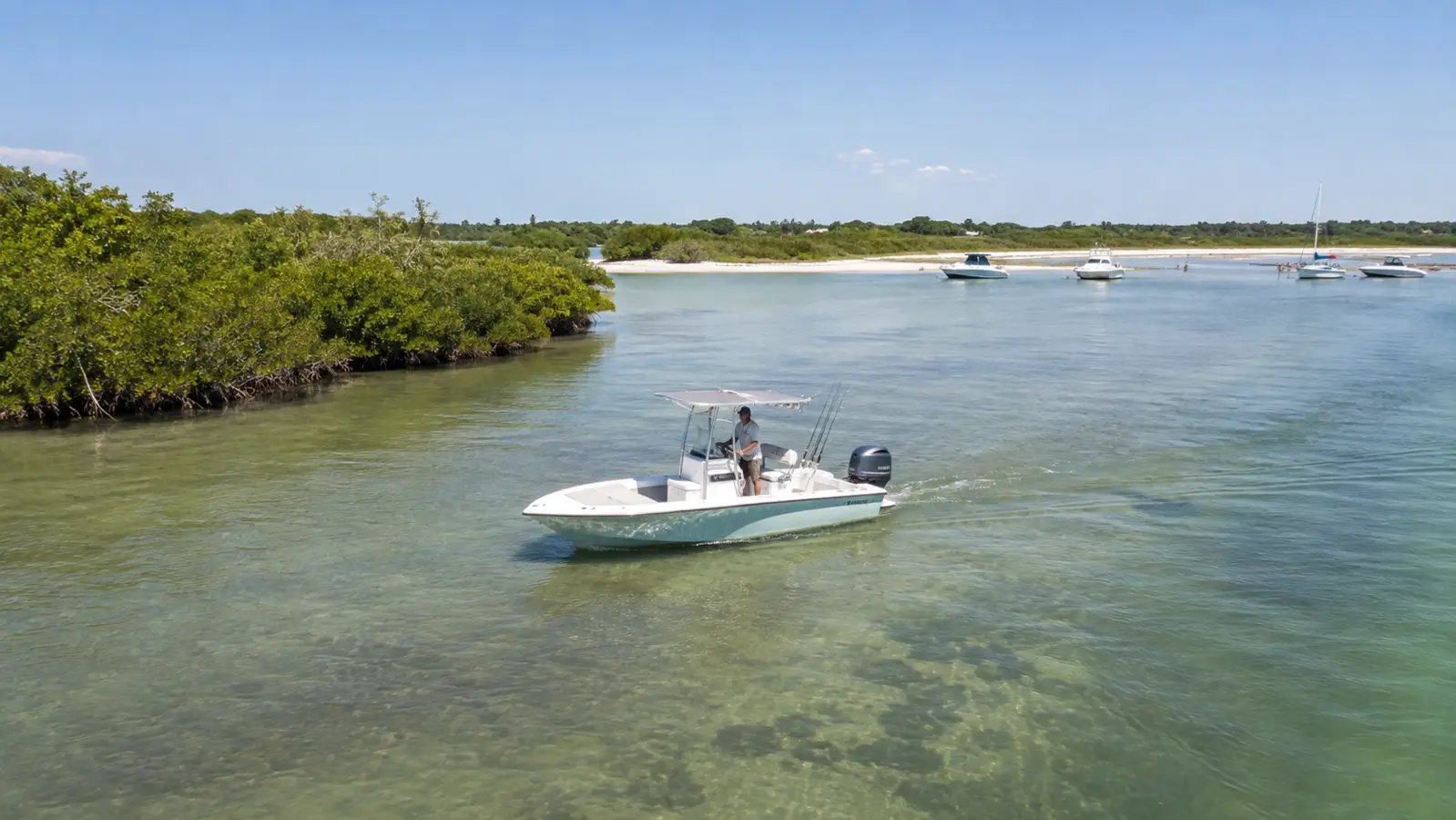 Shallow turquoise water, mangrove shoreline and sandy coastal edges
